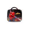 Spiderman Panier Repas