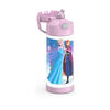 Thermos Funtainer Bottle Frozen 14oz