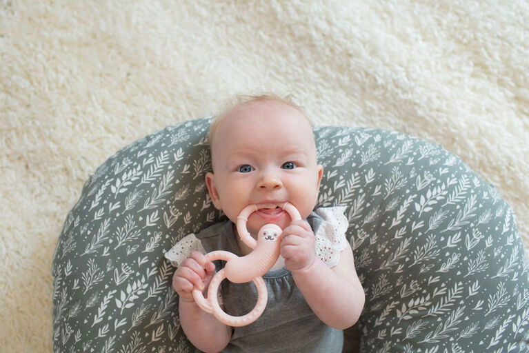 Dr. Brown's Sloth Long Limbed Silicone Teether - Assortment May Vary