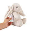 Love Light Buddies Billy Bunny de Cloud b Lapin en Peluche avec Musiques et Projections Lumineuses