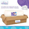 Baby Works Before & After Maternity Pillow