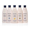 Noodle & Boo Shampoo Supplémentaire Douce 16 oz..
