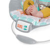 Bright Starts Whimsical Wild - Cradling Bouncer