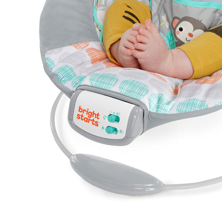 Bright Starts Whimsical Wild - Cradling Bouncer