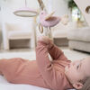 Aden Anais Activity Gym Ma Fleur