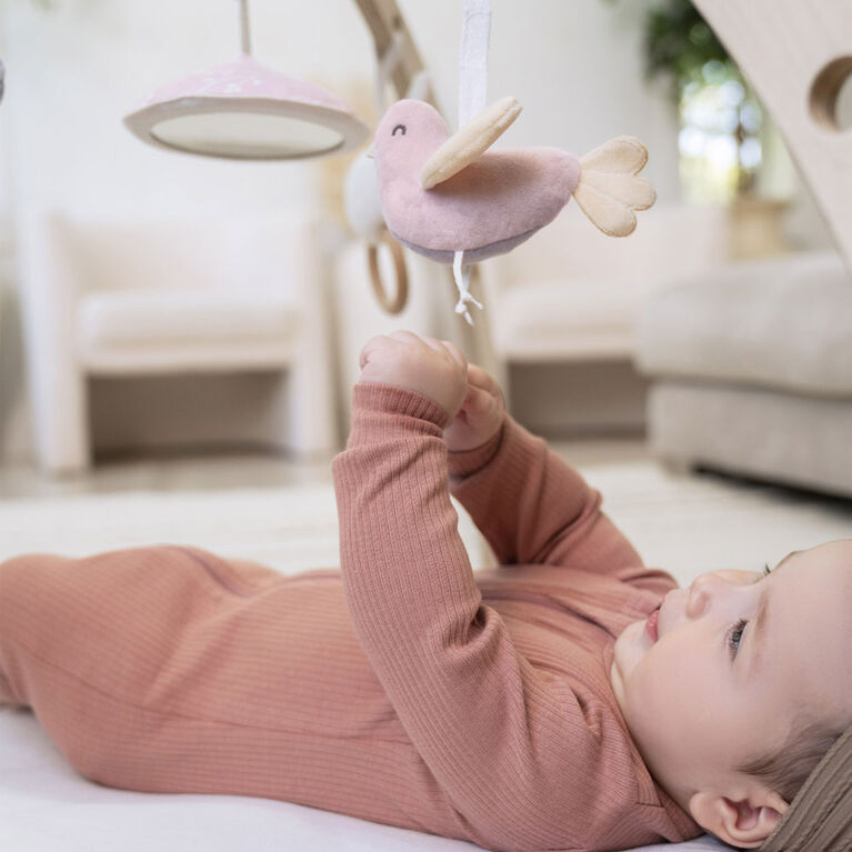Aden Anais Activity Gym Ma Fleur