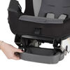 Evenflo RightFit Convertible Car Seat - Barkley
