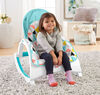 Fisher-Price Newborn-to-Toddler Portable Rocker