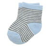 Tendertyme 6 Pack Socks:Blue Cars