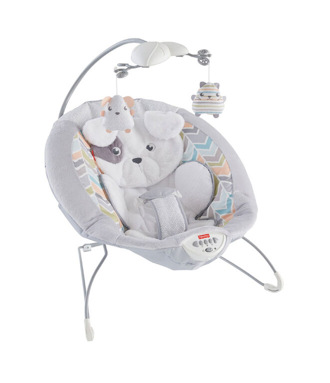 FisherPrice Sweet Snugapuppy Dreams Deluxe Bouncer Babies R Us Canada