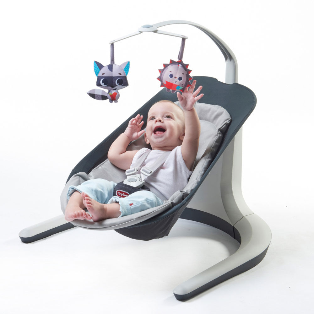 Natures Way Bounce and Sway Baby Bouncer Close to Me Baby Bouncer Tiny Love 3 in ...