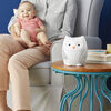 Skip Hop Moonlight & Melodies Nightlight Soother - Owl