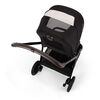 Nuna TRIV Next Stroller - Caviar