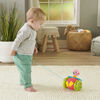 Fisher-Price Paradise Pals Pull-Along Flamingo