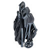 Joovy KooperX2 Double Stroller - Forged Iron