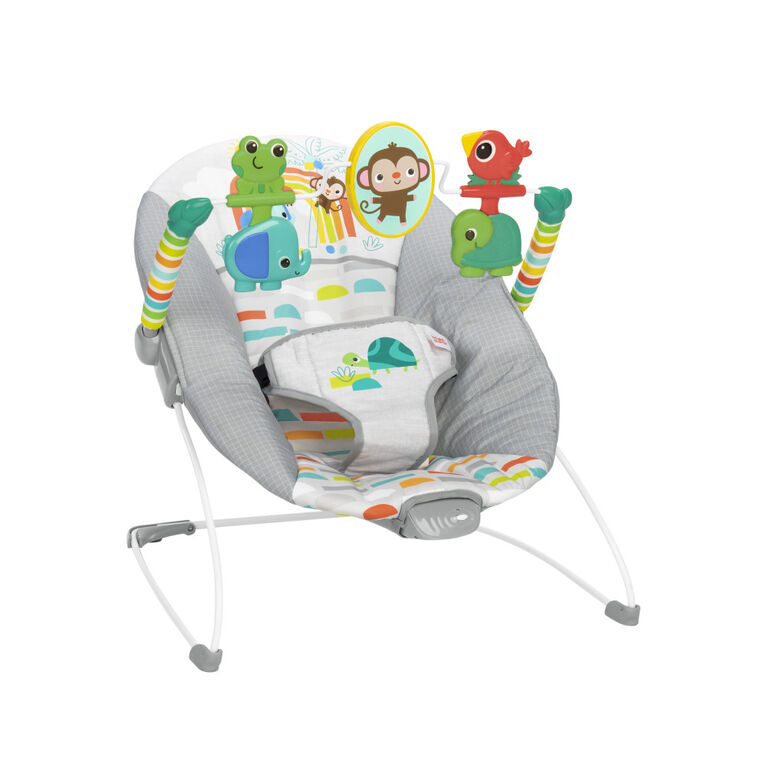 Siège et sauteur Playful Paradise Comfy Baby Bouncer