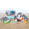 Baby Einstein High Contrast Box