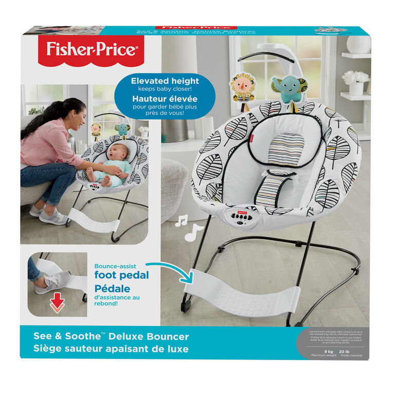 Fisher-Price See & Soothe Deluxe Bouncer