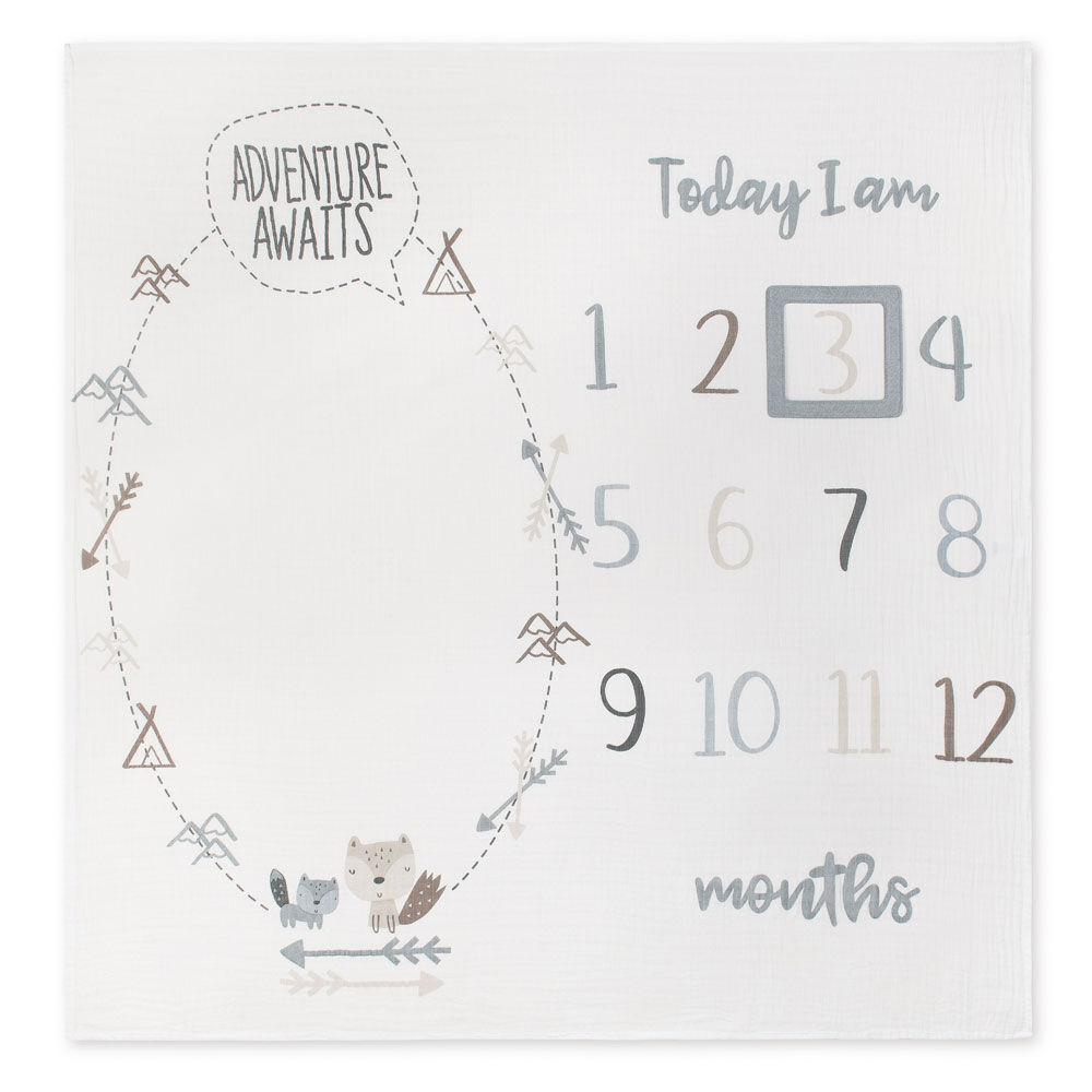 Gerber Organic Milestone Blanket Adventure Awaits Babies R Us Canada