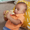 Fisher Price Snuggle Bunny Teether Baby Toy with Fine Motor Activity for Newborns