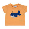 Mini Hop 3 Piece Orange Short Set: Whale 24M