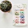 Baby Wisp - Collectors Bows - Snap Clips - 12 Pack - Classics