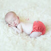 Kanga Care Lil Joey Preemie & Newborn Cloth Diapers - Spice