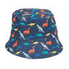 Dinosaur 2 Piece Set - Sunglass & Bucket Hat