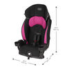 Evenflo Chase LX Harnessed Booster Car Seat - Jayden