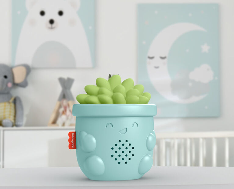 Fisher-Price Soothe & Go Succulent