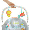 Bright Starts Whimsical Wild - Cradling Bouncer