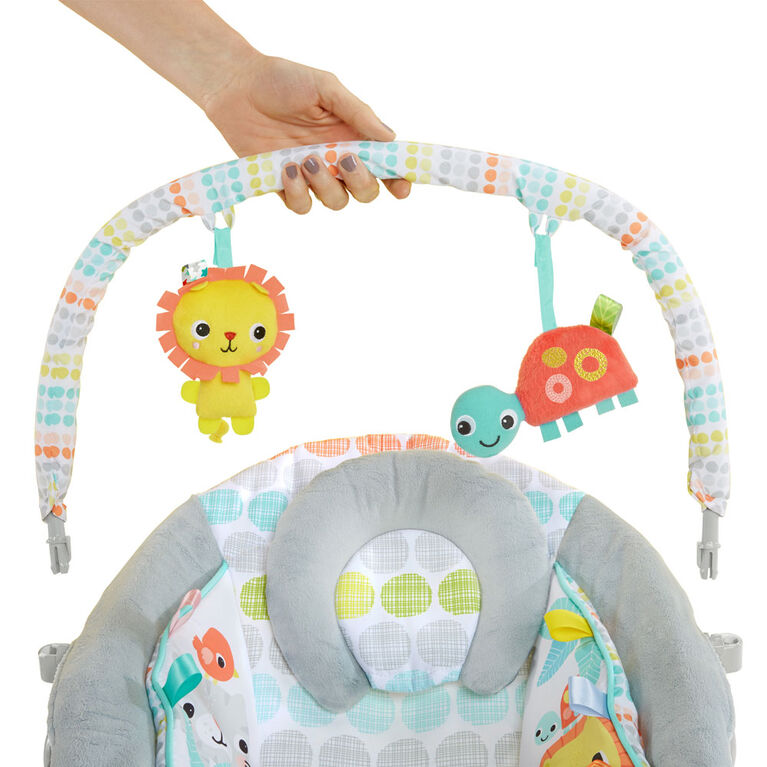 Bright Starts Whimsical Wild - Cradling Bouncer