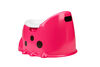 Fisher-Price Ladybug Potty
