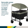 Safety 1st Summit Quad Wagon Stroller - Olive Haze