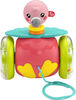 Fisher-Price Paradise Pals Pull-Along Flamingo