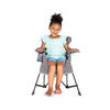 Baby Delight Go With Me Jubilee Deluxe Portable Chair