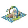 Evenflo Exersaucer Triple Fun - Life in the Amazon