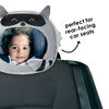 Diono Easy View Racoon Character Baby Car Mirror