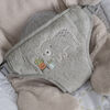 Siège et sauteur InLighten Baby Bouncer - Nate