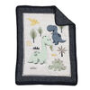 Baby's First by Nemcor 4-Piece Nursery Bedding Set, Roarly Awesome