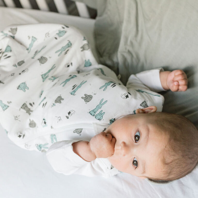 PerlimpinpinBamboo sleep bag 1.0 TOGBunnies06m Babies R Us Canada