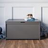 Forever Eclectic by Child Craft - Harmony Toy Chest - Cool Gray