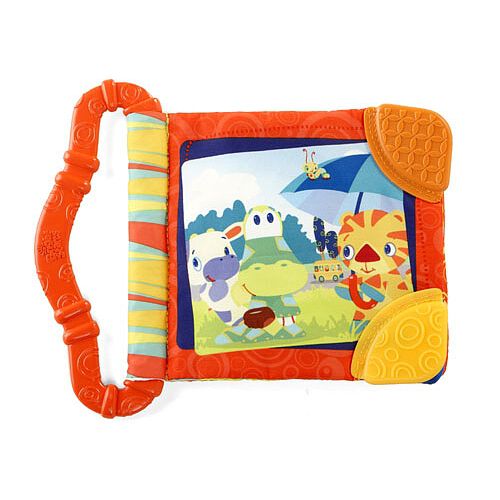 bright starts teethe and read