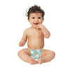 The Honest Company - Diapers - Above it All - Size 2 - 12 to 18 lbs