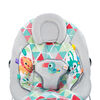 Bright Starts Toucan Tango Bouncer