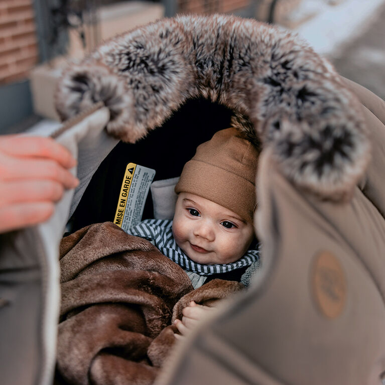 Petit Coulou - Winter cover - Zircon Wolf