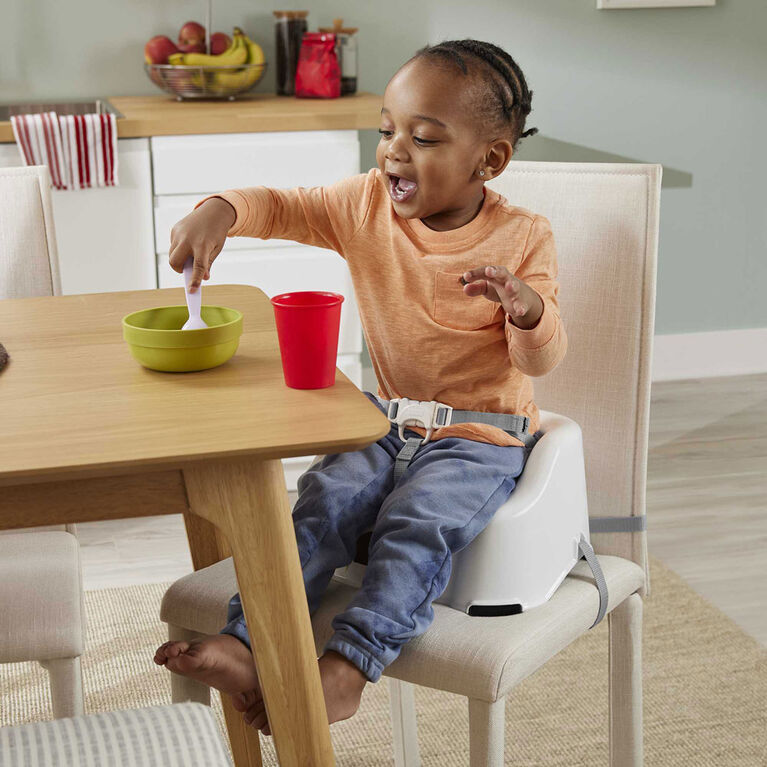 Fisher-Price Simple Clean and Comfort Booster