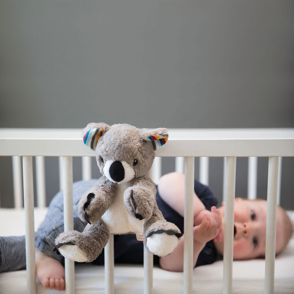 koala peluche toys r us