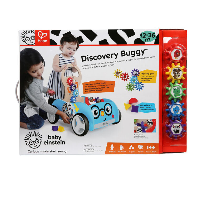 Discovery Buggy.