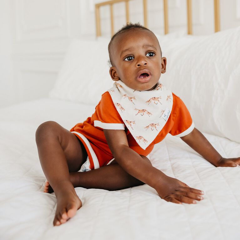 Copper Pearl Swift Bib Set Babies R Us Canada